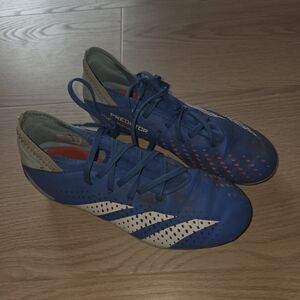 Adidas Predator Blue Soccer Shoes